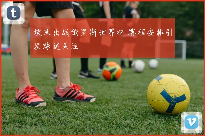 埃及出战俄罗斯世界杯 赛程安排引发球迷关注