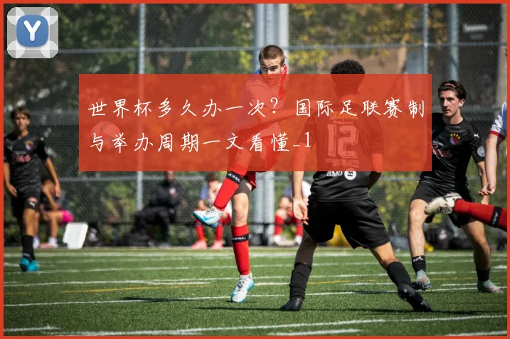 世界杯多久办一次？国际足联赛制与举办周期一文看懂_1