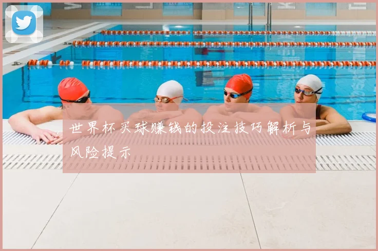 世界杯买球赚钱的投注技巧解析与风险提示