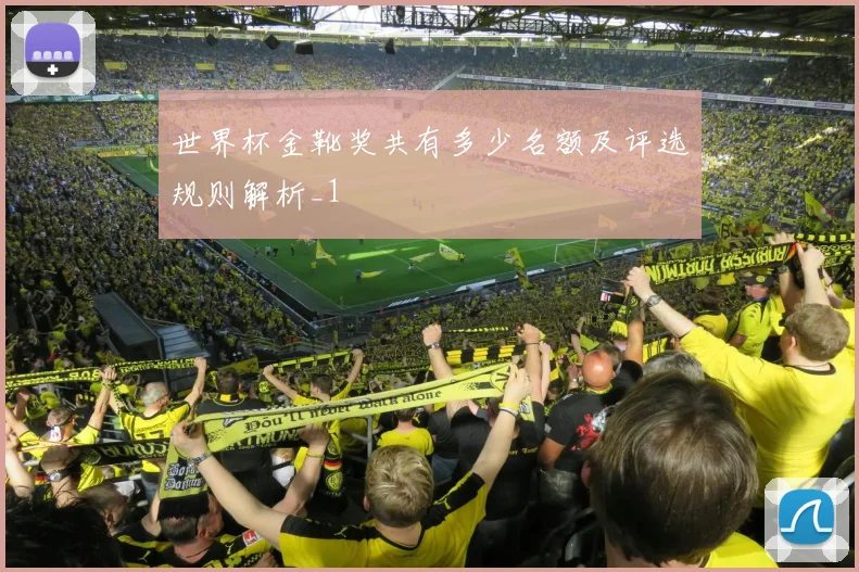 世界杯金靴奖共有多少名额及评选规则解析_1
